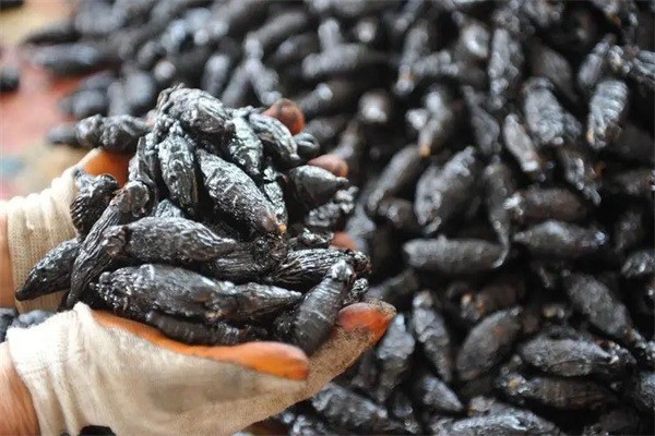 湘年华枸杞槟榔